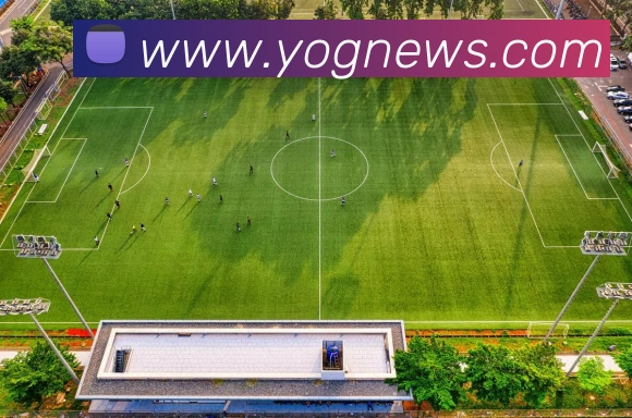 赛事专题整合
